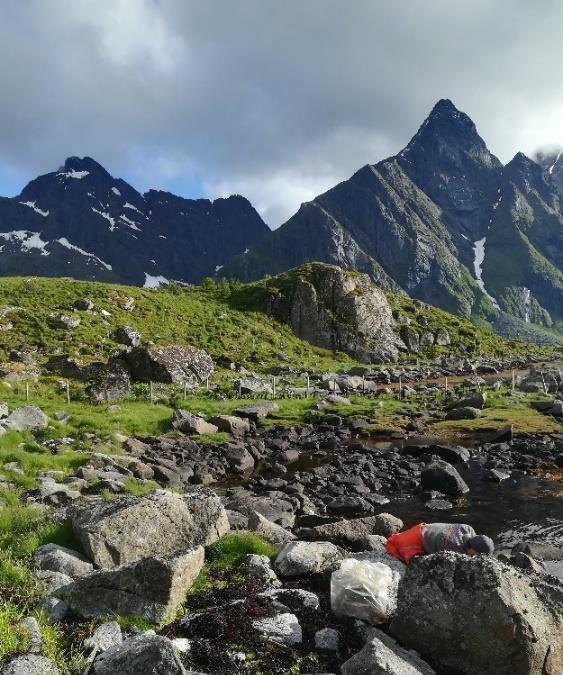 4. Strandryddinger I dette kapitlet vil jeg analysere empiri om strandryddinger. Det vil jeg gjøre ved å først diskutere strandrydding i lys av Douglas teori om «matter out of place».