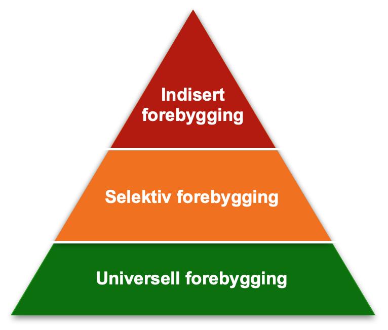 En mye brukt modell i arbeidet med forebygging av voldelig radikalisering i Europa er forebyggingstrianglet (Guidi & Babetto, 2020), som vist i figur 6 nedenfor.