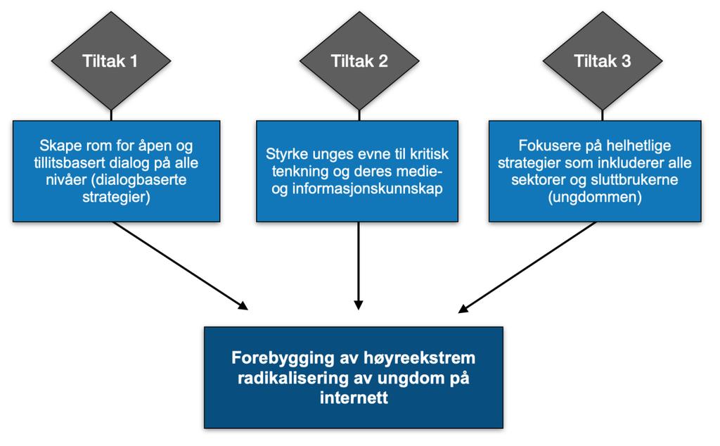 6.3 «HVORDAN KAN HØYREEKSTREM RADIKALISERING AV UNGE PÅ INTERNETT FOREBYGGES?