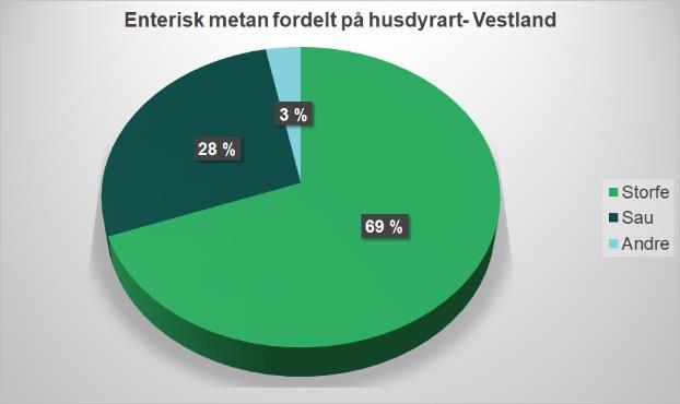 Ammekua står for en vesentlig mindre andel av metanutslippene fra storfepopulasjonen i Vestland enn nasjonalt (7 vs. 12%