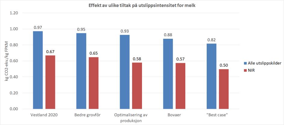 slaktemoden ved 300-330 kg slaktevekt og kan ved intensiv framfôring oppnå en tilvekst på 1,1-1,3 kg per dag. Det ble i beregningene forutsatt en økning av slaktevekt og tilvekst til hhv.