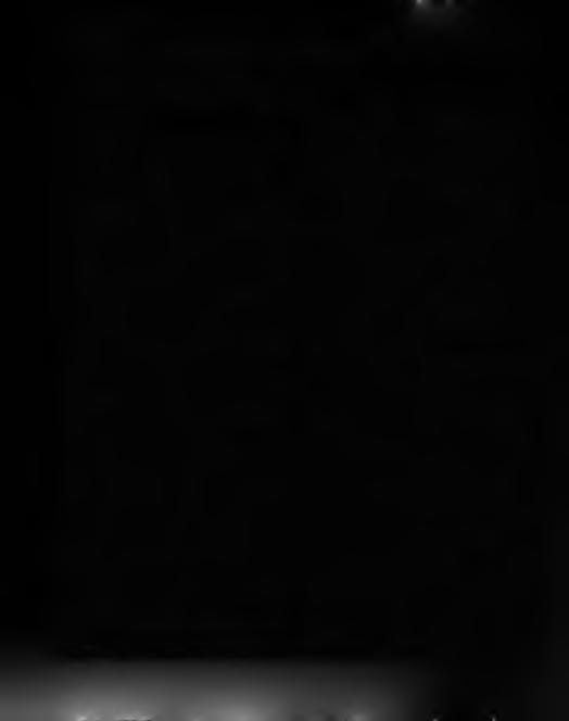 52 Ex Libris Sjelesorg Ansv.: Tor Johan S. Grevbo Atle Roness: Utbrent? Arbeidsstress og psykiske lidelser hos mennesker i utsatte yrker. Universitetsforlaget, Oslo 1995,271 s.