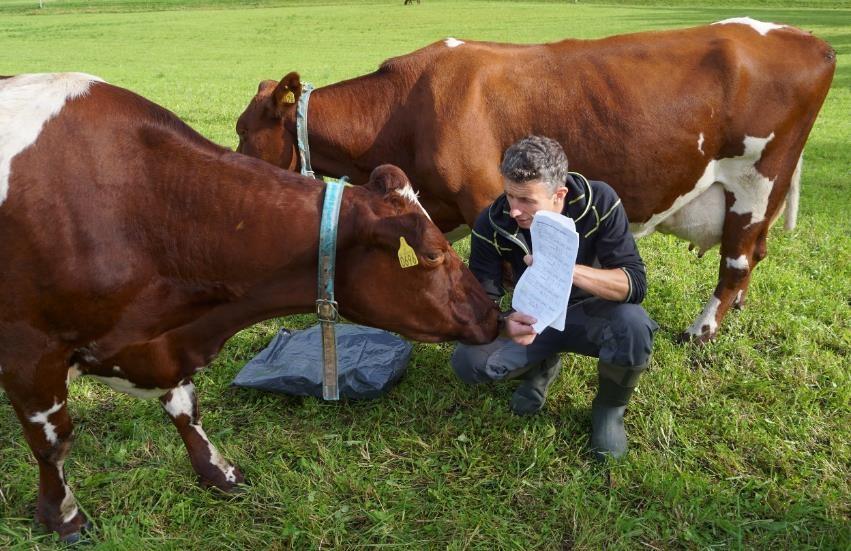 Miljømessig og økonomisk bærekraft på gårder med økologisk