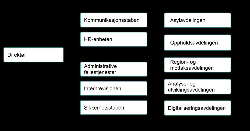 hindre misbruk av innvandringsregelverket bidra til raske returer av personer uten lovlig opphold gi faglige innspill til utviklingen av politikken ha ansvaret for utlendingsforvaltningens felles