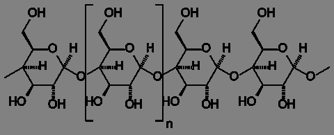 Karbohydrater/sakkarider -Energirike organiske molekyler som brukes som