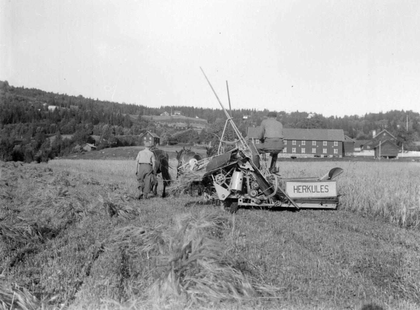 Skuronn på Lysgård, antakelig 1932. Foto: Marius Berge/Maihaugen Det er en hovedmålsetning for prosjektet å tilby høyoppløselige filer for publikum til ikkekommersiell bruk.