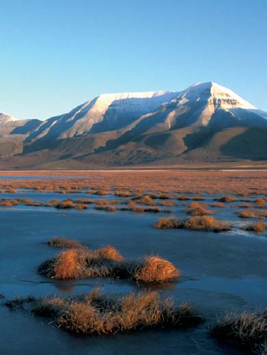 Sikkerhet i felt på Svalbard Denne brosjyren vil gi deg en oversikt over de viktigste sikkerhetsfaktorene du må ta hensyn til ved ferdsel i felt på Svalbard.