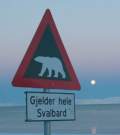 Foto: Synnøve Haga Snø og skredfare Svalbard er normalt nedbørsfattig, men snø flyttes med vinden og i enkelte områder kan det være mye snø. Lokale kraftige snøfall forekommer også.