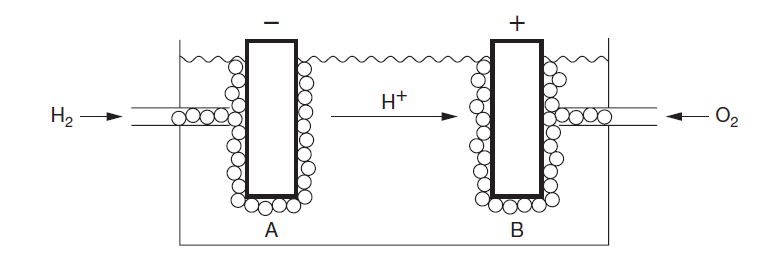 4) En brenselcelle består av to kamre som er atskilt med en membran. Det ene kammeret blir tilført brensel og det andre luft. Hydrogen er det mest brukte brenselet. Membranen skiller brensel og luft.