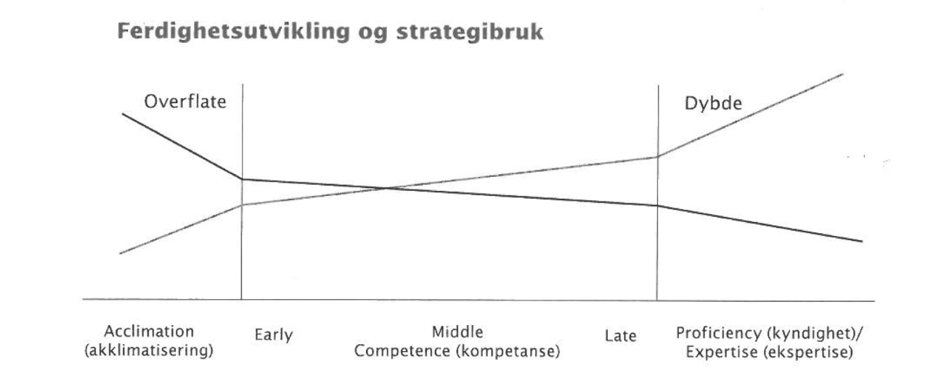 Figur 2: Ferdighetsutvikling og strategibruk (Alexander, 2005) Sammenligner man denne inndelingen av strategier med Weinstein og Mayer (1986) sin inndeling i overflatestrategier og dybderelaterte