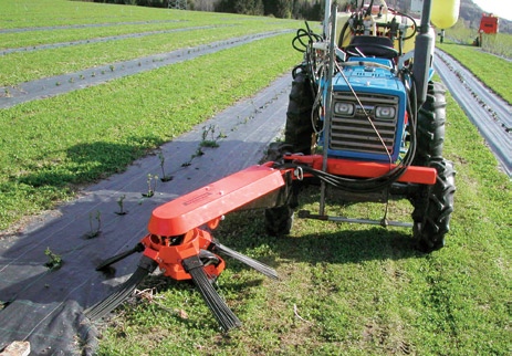 182 måtte overta tidlig. I et slikt felt var det kraftig grasvekst, og det måtte klippes ofte.