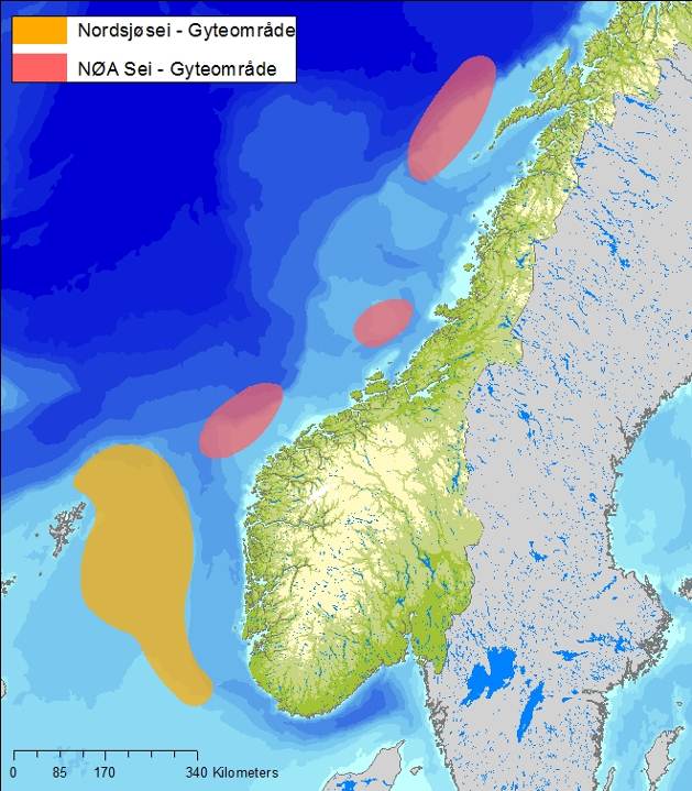 Figur 7-29 Gyteområde for sild, torsk og hyse, samt egg av