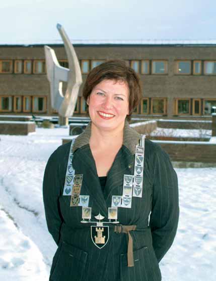 I prosessen har det vært kontakt med sentrale samarbeidspartnere, som biblioteket ved Høgskolen i Finnmark, Fagforum for bibliotekene i de videregående skoler, Samisk spesialbibliotek/ Sámi
