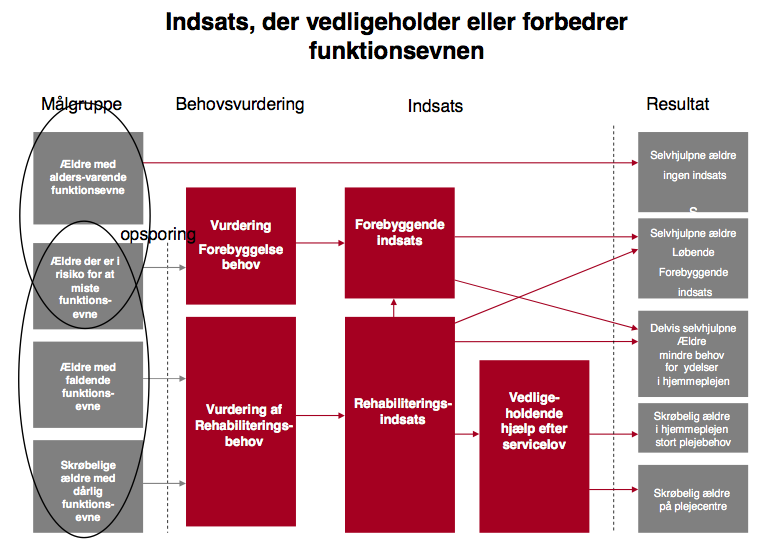 En eller annen form for hverdagsrehabilitering er nå etablert i alle danske kommuner.