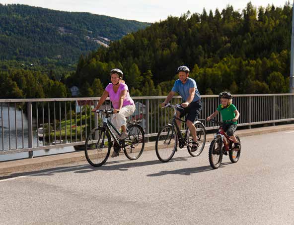 11.8.5 Øvrige planer i Telemark som vil ha stor betydning for trafikksikkerheten Et godt og helhetlig trafikksikkerhetsarbeid lokalt krever god samordning av tiltak på tvers av forvaltningsnivåene og