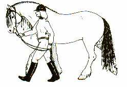FØRING I SKRITT Hesten skal alltid gå på mønstrerens høyre side. En skal gå inntil hesten på høyde med hestens bog.