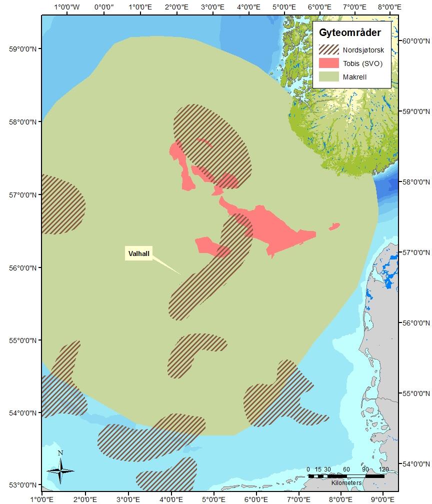 Figur 6. Gyteområder for torsk, makrell og tobis (Kilde: Mareano, 2014). 3.2.4 Sjøfugl Sjøfugl finnes generelt i åpne havområder og deres utbredelse forandrer seg gjennom hele året og fra år til år.