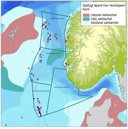 Vågehvalen oppholder seg i Nordsjøen i forbindelse med næringsvandring, mens nise og springere er mer stedbundne.