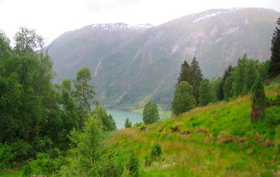 Notat Fjærland sett frå Bergsdalen.(Foto: SWECO Grøner AS) Fordelar med utbyggingane Bygginga av dei fem a vil gje ei lokal verdiskaping som mellom anna vil vere med på å oppretthalde busettinga.