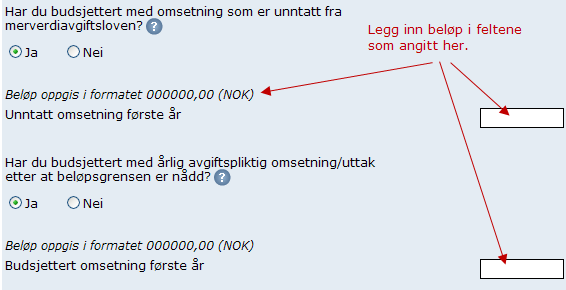 Også de neste feltene på siden er inaktive (grå) til du har sagt at de skal fylles ut ved å velge «Ja». Beløp kan oppgis med to desimaler.