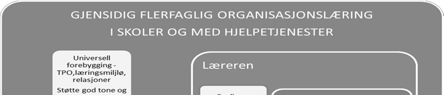 I norsk sammenheng åpner det også mer for oppmerksomhet mot sidene ved skolens oppdrag som går fram av de felles delene av LK06, enn ensidig til resultatområdene tett knyttet til kompetansemål for