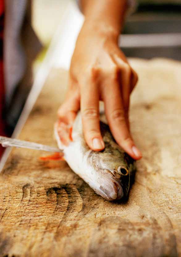 Spis fisk til middag to til tre ganger i uken. Bruk også gjerne fisk som pålegg. Fisk er en fantastisk råvare som kan brukes til mye. Eksperimenter med nye måter å tilberede og servere fisken på.