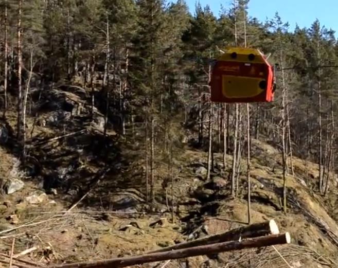 Bakgrunn og utfordringer i skognæringa i Kyst-Norge Bratt og ulendt terreng gir dyr og vanskelig hogst Manglende skogsbilveger