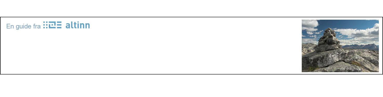 Kan du, vil du, bør du starte bedrift? Innhold i denne guiden: Innledning... 1 Avklaringer... 2 Planlegging... 5 Forretningsplanen... 5 Organisasjonsform... 7 Tillatelser... 7 Avklaringer og tips.