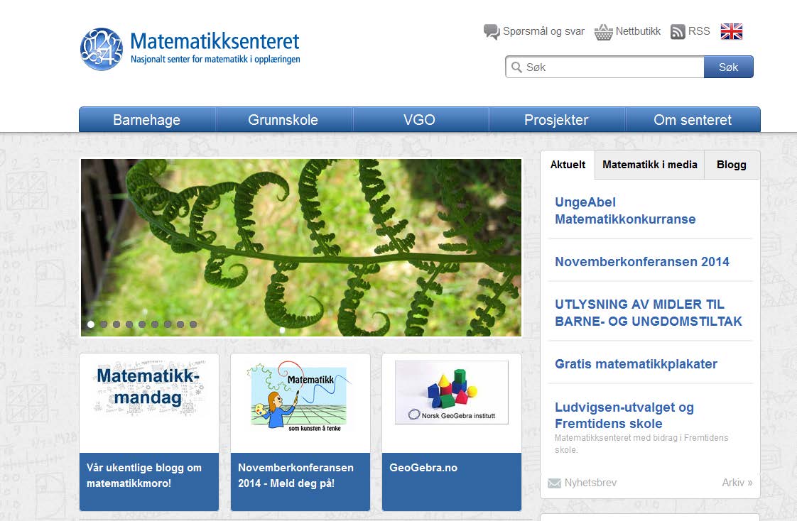 Senterets hovedaktivitet og budsjettramme Senteret skal være et nasjonalt ressurssenter for matematikkdidaktisk kompetanse og som nevnt strategisk arbeid knyttet til nasjonal satsing på realfag.