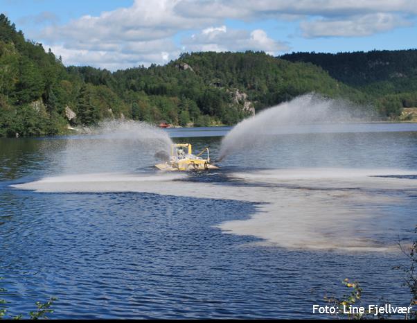 Påvirkning fra rømt oppdrettslaks I vassdrag med naturlig små bestander av vill laks I