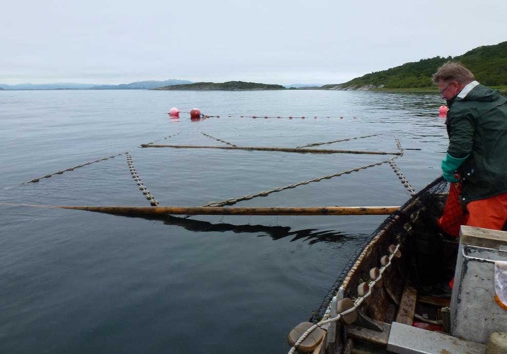 Regulering av fiske Miljøforvaltningens viktigste virkemiddel Kraftig reduksjon i fiske etter villaks siden 2007 Sjølaksefisket i Hordaland stengt,