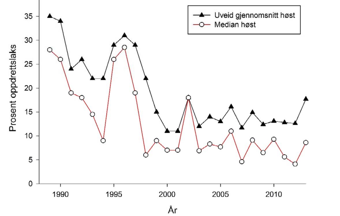 Overvåking av rømt oppdrettslaks i elver om høsten 2013 Det uveide gjennomsnittet for innslag av rømt oppdrettslaks var 17,7% (prøver fra 33 elver) I årene siden 2006 har det uveide gjennomsnittet i