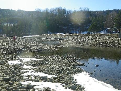 4. Vurdering På grunn av at elveleiet var såpass nedtappa var det vanskeleg å få