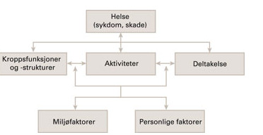 3.2 Valg av pasientgrupper som skal forløpsbeskrives Det var mange diskusjoner i arbeidsgruppa om denne delen av oppdraget.