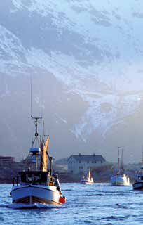 Tromsø Fisket var viktig fordi det skaffet mat på bordet til de som bodde her, og det hadde også stor betydning for hvordan folk levde livene sine.