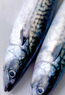 Kostholdsundersøkelsen Norkost 3, som ble gjennomført i 2012, viste at bare 4 av 10 norske menn og 3 av 10 norske kvinner spiser nok fisk i forhold til anbefalingene.