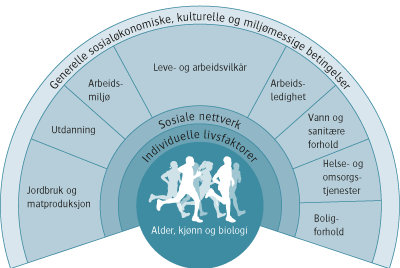 Folkehelseloven 5 Kommunens ansvar: Kommunen skal ha nødvendig oversikt over helsetilstanden i befolkningen og de positive og negative faktorer som kan virke inn på denne.