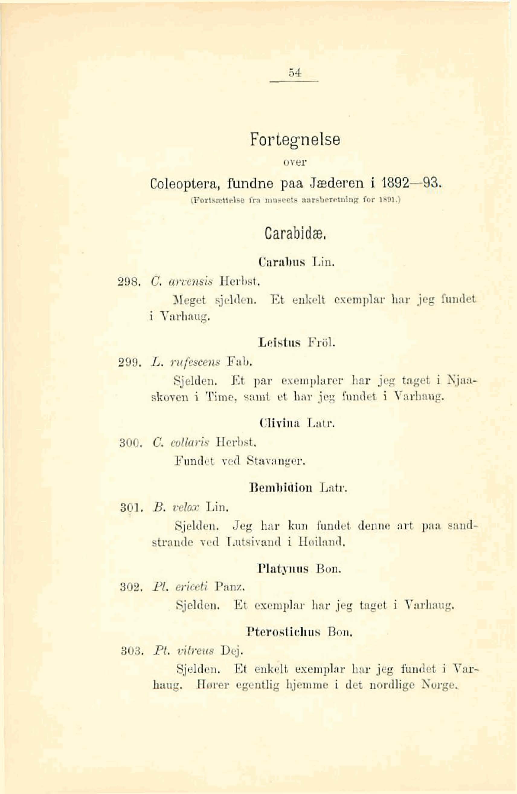Fortegnelse over Coleoptera, hdne paa Jæderen i 1892-93. (Forlsatttlatr h niu~ects nnrsbeterning TOF led1.) Carolbus Lin. 298, C. a?%-e?uis Herlirrt. Ileget sjelden. Et enkelt exemplai.