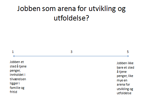 Oppsummeringsmessig kan vi si at vi finner litt større grad av opplevd utilstrekkelighet i denne gruppen enn blant andre arbeidstakere og litt mindre grad av verdsetting og mestring.