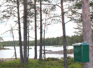 Svengestølåsen: : Mellom Grunnevatn og Stølen, litt før bom.