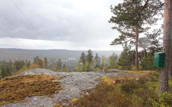 : Kjerrevei og sti helt opp, ca 3 km t/r : Ja, med blå