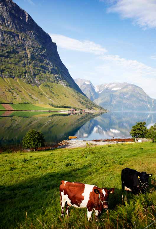 tollkostnadene på større volumer.