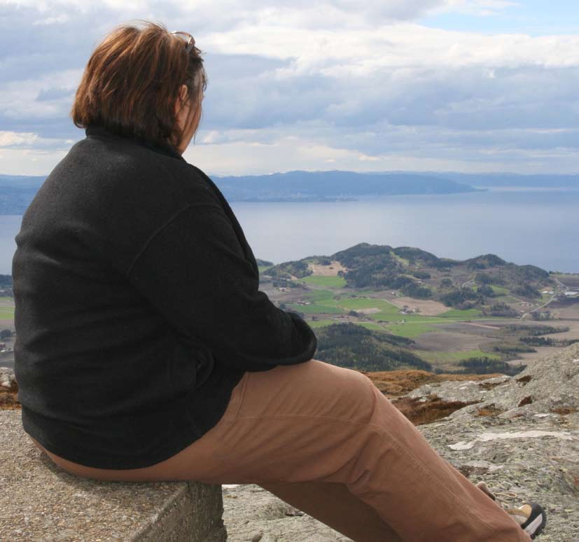 Illustrasjonsfoto Kari har et omfattende behov for tjenester fra flere instanser, på flere nivå. Alle tjenestene er viktige for at Kari skal kunne sies å ha et helhetlig tilbud.