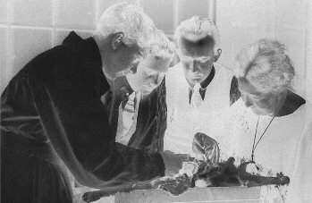 Kristine Bonnevie med studenter dissekerer på laboratoriet. hetforskning, det senere Genetisk institutt, som hun bestyrte til hun gikk av for aldersgrensen.