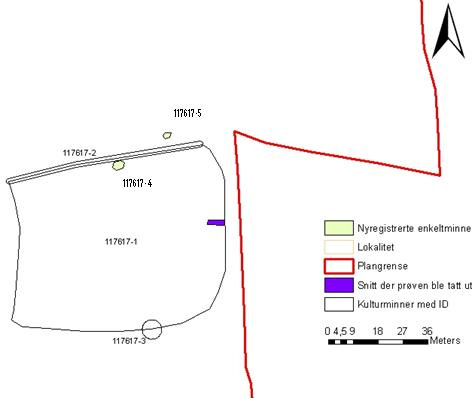 Nyregistrert lokalitet 170536 Ikke fredet. Lokaliteten ligger inne i løvskogen, ca. 50 meter sør for lokalitet 117621.