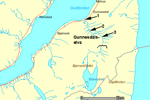 3.2. Gunnesdalselva, Sortland Gunnesdalselva har et nedslagsfelt på ca km 2, og munner ut ytterst i Godfjorden øst for Sortland. Elva ble besøkt 17.6.2. Elva er smal, i gjennomsnitt 3- m.