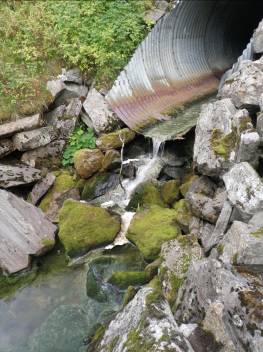 Nedre del- flotte oppvekstforhold 3.15. Neppelbergelva, Leirfjord berg nede ved havet kan fungere som vandringshinder eller ikke.