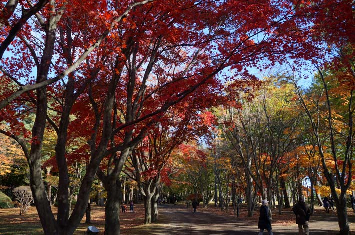 Japan.