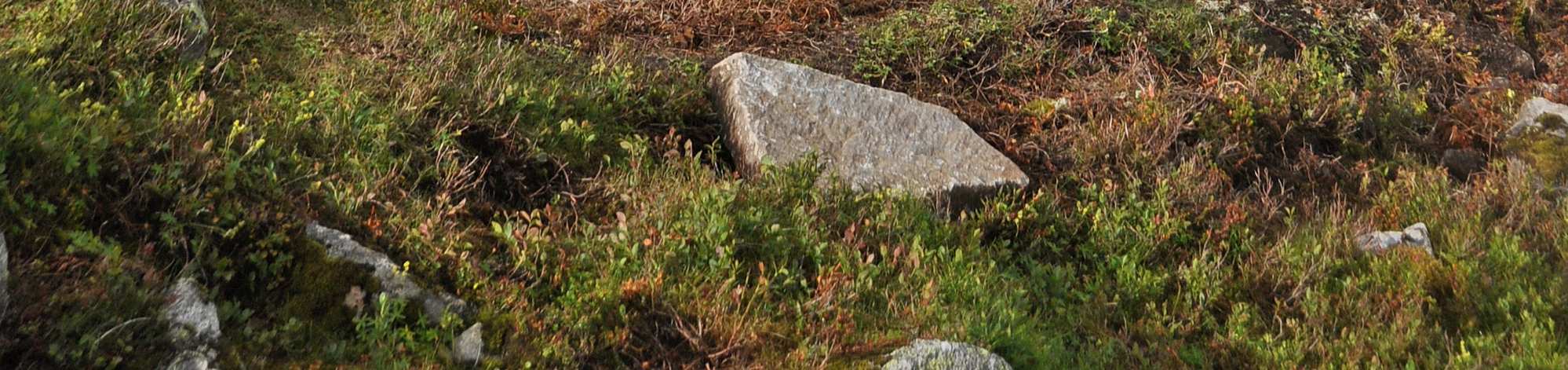 Hvis det er snø, er trappetrinnene til god hjelp (19).