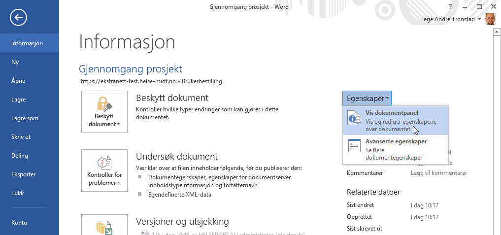 egenskaper på dokumentet er direkte fra Word-klienten.